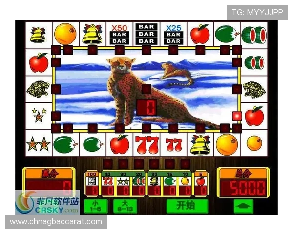 和记ag手机版游戏种类丰富，涵盖老虎机、真人娱乐和体育博彩等多项选择