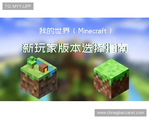 kok真人登录常见问题与解决方案全面指南帮助玩家顺利登录